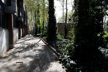 بهار در قاب دانشگاه علوم بهزیستی و توانبخشی